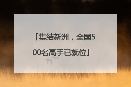 集结新洲，全国500名高手已就位